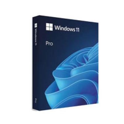 Windows 11 Professional